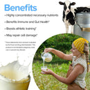 bovine-colostrum-capsules-ethically-sourced-60-capsules---2gs-daily---colostrum-processed-in-the-first-24-hours---natures-potent-superfood---all-natural-2
