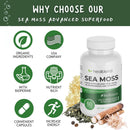 brain-body-wellness-bundle-neuro-plus-brain-booste-4.jpg