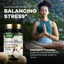 built-by-nature-lions-mane-10000mg-extra-strength--4.jpg