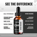 calm-sleeper-drops-premium-calmsleeper-liquid-formula-supplement---maximum-strength-all-natural-to-support-relaxation-calm-and-restful-nights-official-calm-sleeper-droppers-reviews-5-pack-4