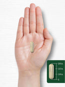 carlyle-psyllium-husk-capsules-1600mg-200-count-hi-8.jpg