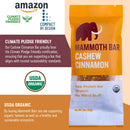 cashew-cinnamon-bar--organic-paleo-gluten-free-and-6.jpg