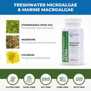 cerule-stemenhance-cyactive-spirulina-support-ultra-stem-cell-support-supplement-with-extracts-from-freshwater-microalgae-and-marine-macroalgae-to-help-increase-circulating-adult-stem-cells-and-prom-3
