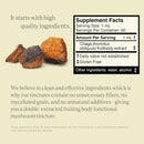 chaga-mushroom-extract---double-extracted-fruitbod-4.jpg