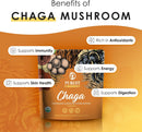 chaga-mushroom-extract-powder---organic-chaga-mush-4.jpg