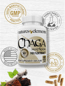 chaga-mushroom-for-immune-support---standardized-1-6.jpg