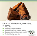chaga-mushrooms-capsules-120-count-1000mg-chaga-mu-4.jpg