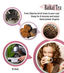 chaga-tea---100-wild-siberian-birch-chaga-mushroom-3.jpg