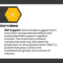 cognisync-nootropic-brain-health-supplement-60ct-12-powerful-ingredients-lions-mane-alpha-gpc-cognitive-enhancement-brain-fog-support-memory-support-smart-drug-alternative-5