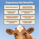 colostrum-capsules-pure-undiluted-highly-bioactive---ethically-sourced-from-new-zealand---supports-gut-health-immunity-overall-well-being-1