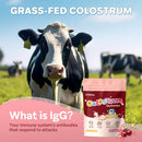 colostrum-gummies-1000-mg-grass-fed-colostrum-chews-colostrum-supplement-for-gut-health-hair-growth-beauty-and-immune-support-cherry-flavor-60-servings-4