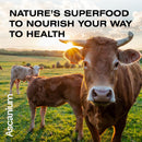 colostrum-powder---grass-fed-40-colostrum-supplement-powder---bovine-colostrum-for-gut-health-immune---bovine-colostrum-for-humans---423-oz-7