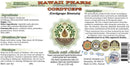 cordyceps-alcohol-free-liquid-extract-cordyceps-co-2.jpg