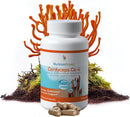 cordyceps-cs-4-capsules-full-spectrum-extract-for--1.jpg