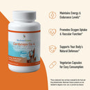 cordyceps-cs-4-capsules-full-spectrum-extract-for--3.jpg