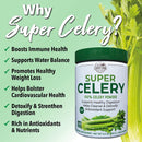 country-farms-super-celery-powder-100-celery-powde-5.jpg