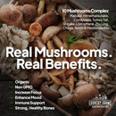 country-farms-super-greens-natural-flavor-50-organic-super-foods-usda-organic-drink-mix-fruits-vegetables-super-greens-with-fiber-mushrooms-probiotics-supports-energy-60-servings-900g-3