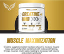 creatine-hmb---creatine-powder-for-men---creatine--4.jpg