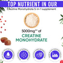 creatine-monohydrate-gummies-for-men-women-5000mg--3.jpg
