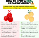 creatine-monohydrate-gummies-for-men-women-5000mg--5.jpg