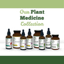 deep-immune-51-powder-extract-90-caps---natural-he-4.jpg