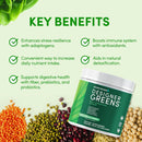 designer-wellness-designer-greens-superfood-powder-4.jpg