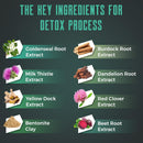detox-cleanse-gummies---liver-gut-kidney-cleanse-d-3.jpg
