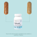 dietary-supplement-tablets-by-papillex---all-natural-immune-support---immunity-defense---best-immune-system-booster---organic-60-capsules-bottle-6-pack-6