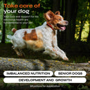 dog-vitamins-15-in-1---dog-multivitamin-chews---joint-supplement-for-dogs---dog-vitamins-supplements-for-hip-joint-immune-system-coat-mobility---itchy-skin-relief---glucosamine-chondroitin-4