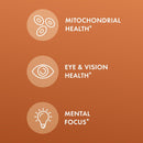 dr-mercola-curcumin-advanced---500-mg-curcumin-root-extract---95-curcuminoids---for-vision-health-digestion-focus---sustained-release---non-gmo-gluten-free-soy-free---30-capsules-30-servings-2