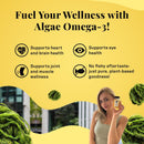 earth-elle-algae-omega-3-supplement---vegan-omega--6.jpg