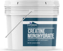 earthborn-elements-creatine-monohydrate-powder-1-gallon-bucket-micronized-unflavored-dietary-supplement-no-additives-2