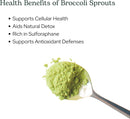 eclectic-herb-broccoli-sprouts-powder-122-grams-4.jpg