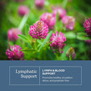 eclectic-herb-lymphatic-blood-cleanse-freeze-dried-fresh-whole-herbs-naturally-concentrated-45-count-2