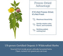 eclectic-herb-lymphatic-blood-cleanse-freeze-dried-fresh-whole-herbs-naturally-concentrated-45-count-3