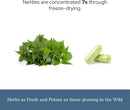 eclectic-institute-raw-fresh-freeze-dried-non-gmo--6.jpg