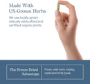 eclectic-institute-raw-fresh-freeze-dried-non-gmo--7.jpg
