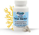 elderwise-organics-sea-moss-capsules---sea-moss-wi-1.jpg
