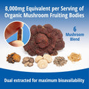 encapsulate-6-mushroom-blend-reishi-chaga-turkey-t-6.jpg