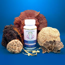 encapsulate-6-mushroom-blend-reishi-chaga-turkey-t-8.jpg