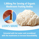 encapsulate-lions-mane-capsules-1000mg-premium-organic-fruiting-body-81-mushroom-extract-nootropic-adaptogen-mushroom-supplement-for-memory-focus-cognitive-support-60-vegan-capsules-3