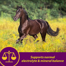 farnam-horse-health-apple-dex-apple-flavored-electrolytes-for-horses-5-pound-11