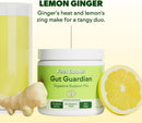 feel-goods-gut-guardian-organic-fiber-probiotic-prebiotic-powder-sugar-free-herbs-for-bloat-gut-health-support-digestive-health-for-men-women-non-gmo-vegan-lemon-ginger-30-servings-1