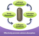 firx-calcium-supplements-with-magnesium-2000iu-vit-3.jpg