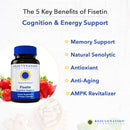 fisetin-senolytic-dietary-flavonoid-non-gmo-vegan--4.jpg