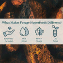 forage-hyperfoods--alcohol-free-canadian-wild-chag-6.jpg
