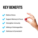 force-factor-better-turmeric-joint-support-supplem-6.jpg