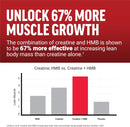 force-factor-creatine-hmb-powder-5g-creatine-monoh-3.jpg