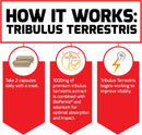 force-factor-tribulus-terrestris-for-men-testoster-5.jpg