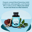 four-sigmatic-calm-capsules-vegan-stress-relief-su-3.jpg